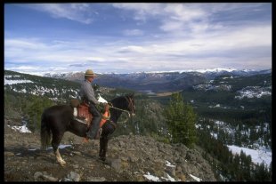U6 - Ranger on horseback - Yellowstone