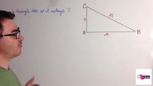 Chapitre 9 - Objectif 3 - Appliquer la formule de Pythagore (4)