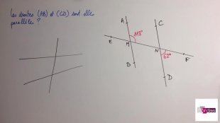 Chapitre 10 - Objectif 1 - Utiliser les angles alternes-internes (1)