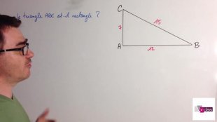 Appliquer la formule de Pythagore (4)
